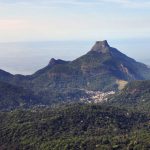 tijuca rainforest view