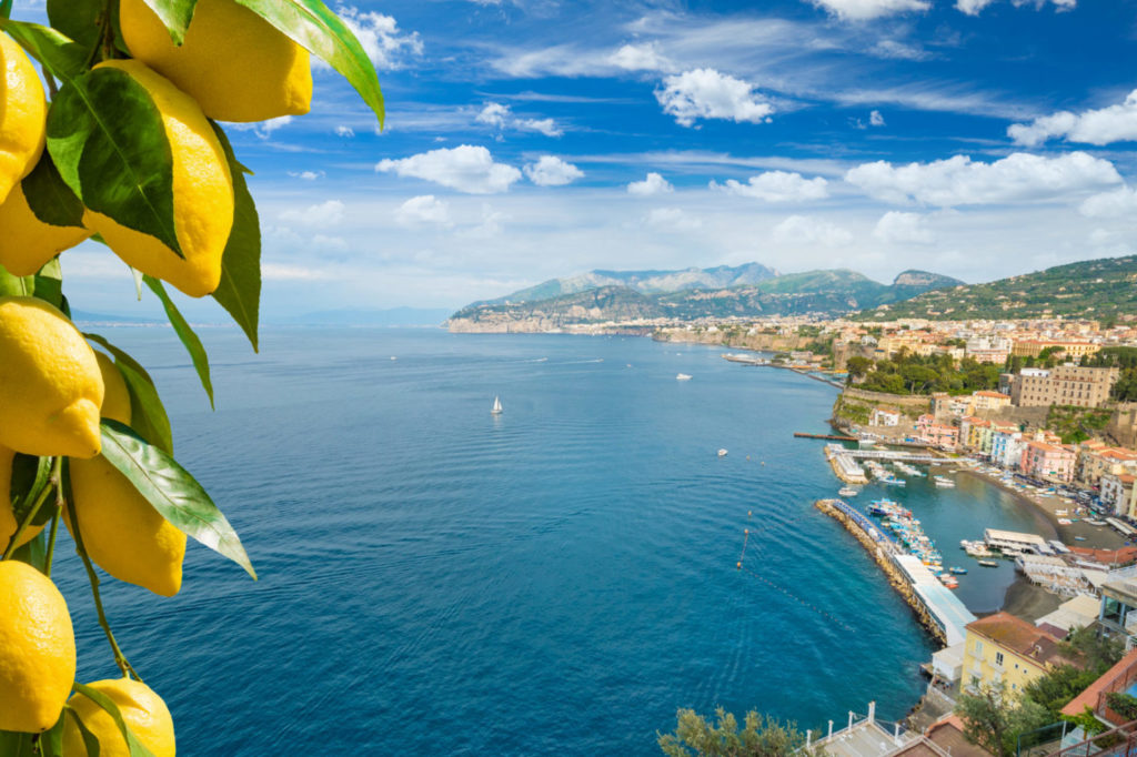 view of bay and lemons