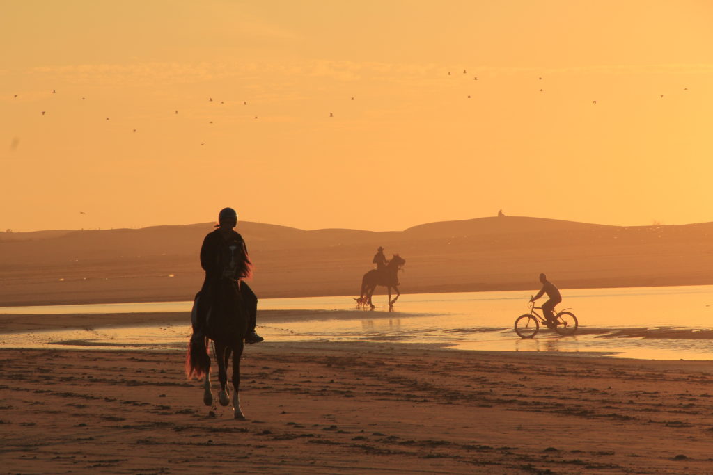 sunset horseriding on beach in Essaouira