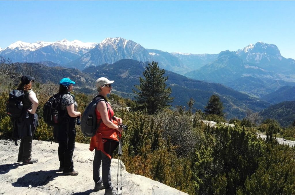 view of the spanish pyrenees mountains