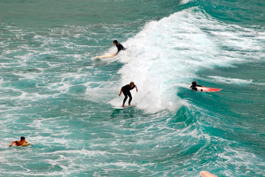 surfers riding the waves