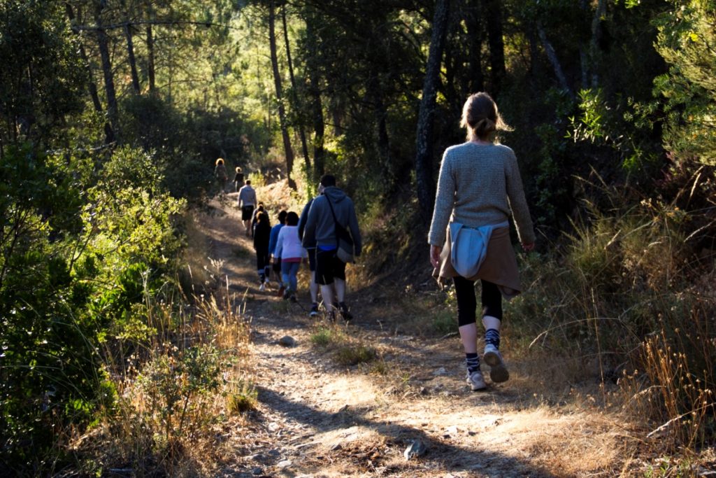 guests walk in the forest