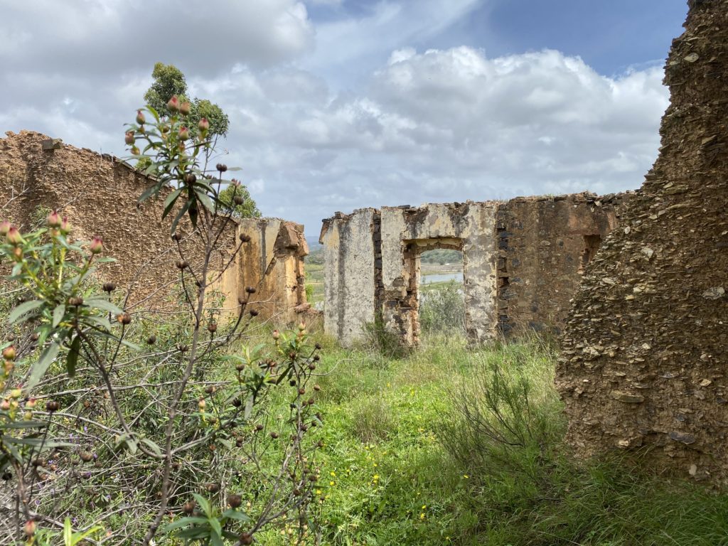 ruins in an overgrown field