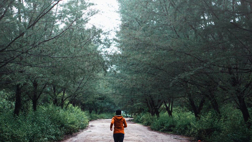 person running along tree lined path