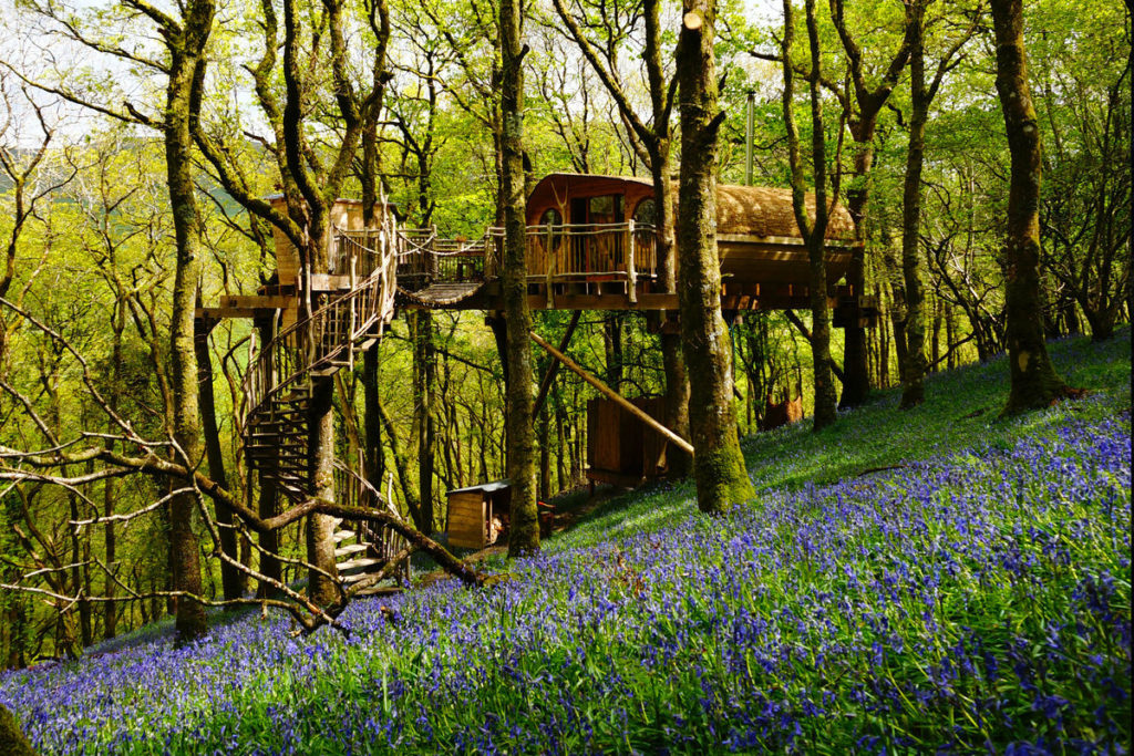 luxury treehouse in trees in Wales