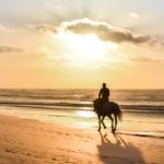 horse rider on beach in morocco