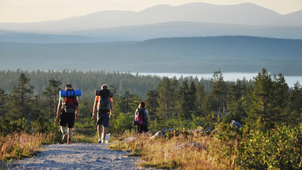 hikers trek through lapland in the summer