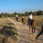 horse riding group trek through tuscany