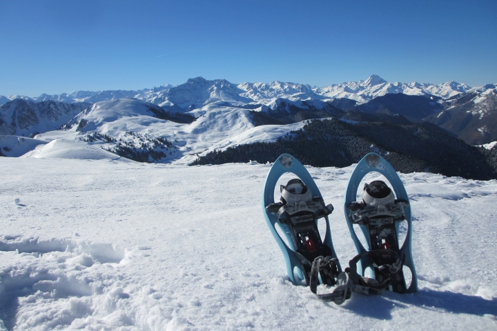 snowshoes in front of mountain view