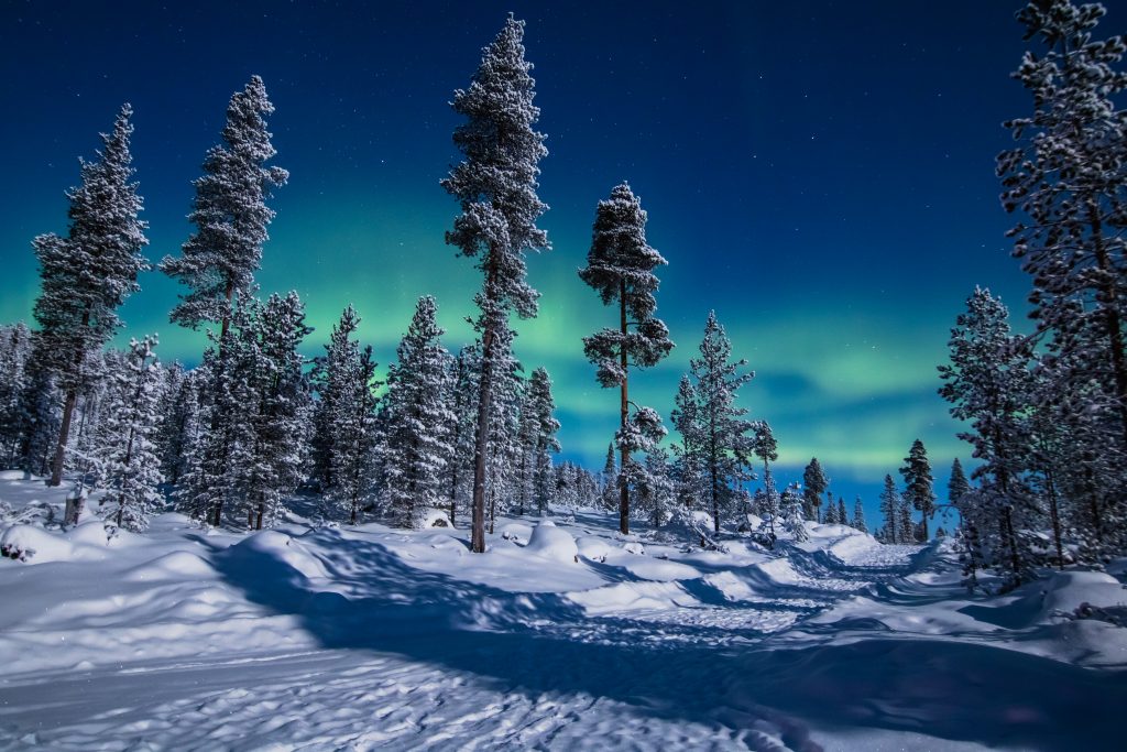 finland northern lights over the trees