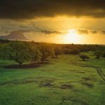 sunset over trees in mauritius