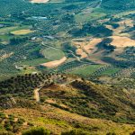 vineyards and hills in crete