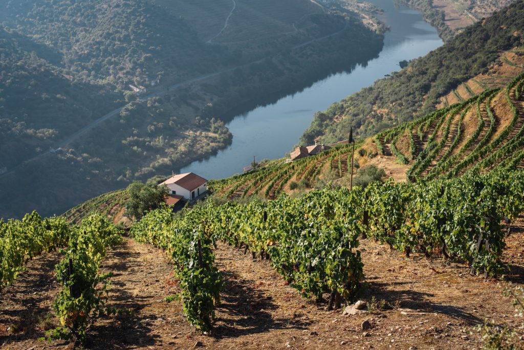 winery in the douro valley portugal