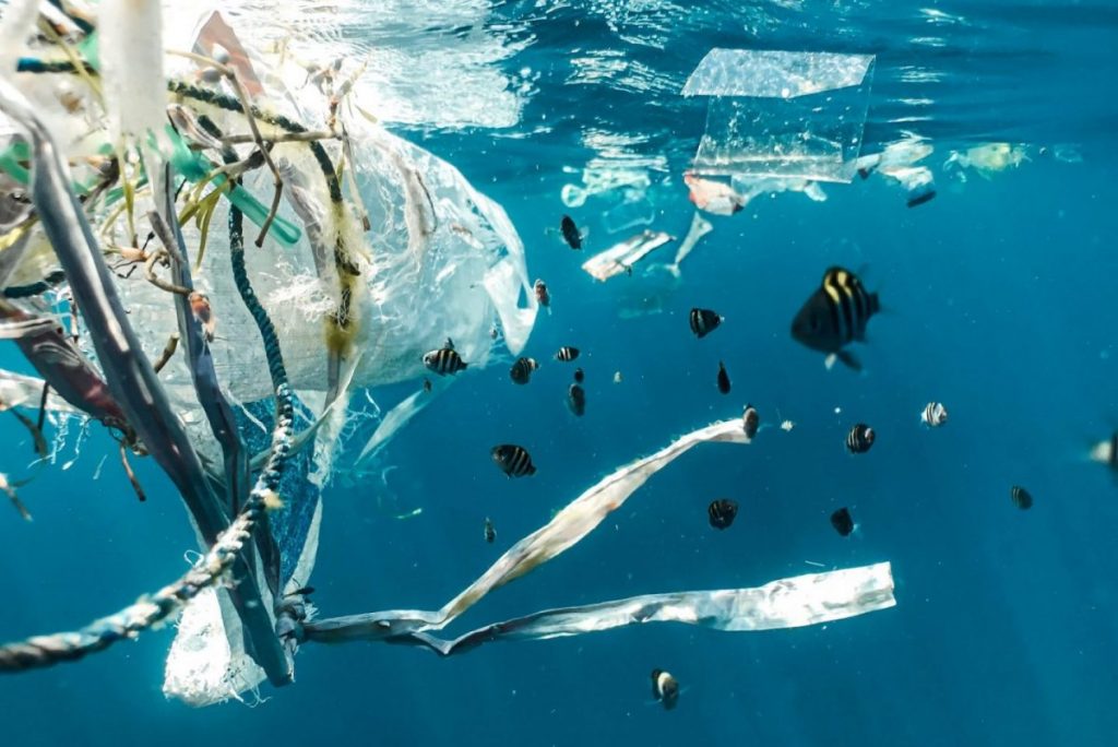 plastic pollution in the ocean