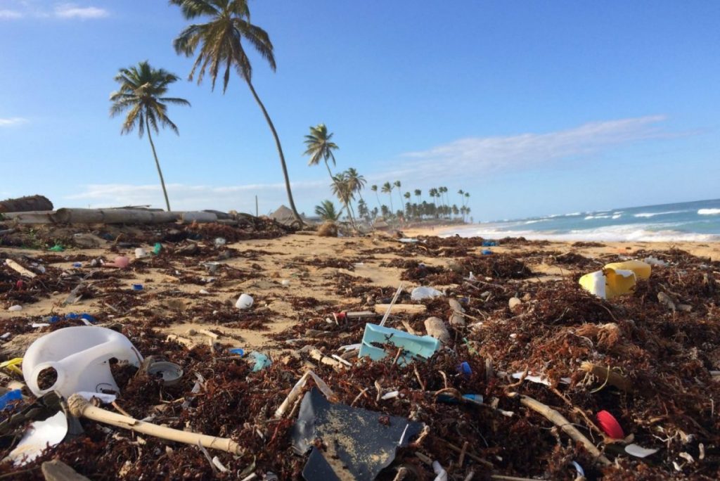 plastic pollution on a beach with palm trees