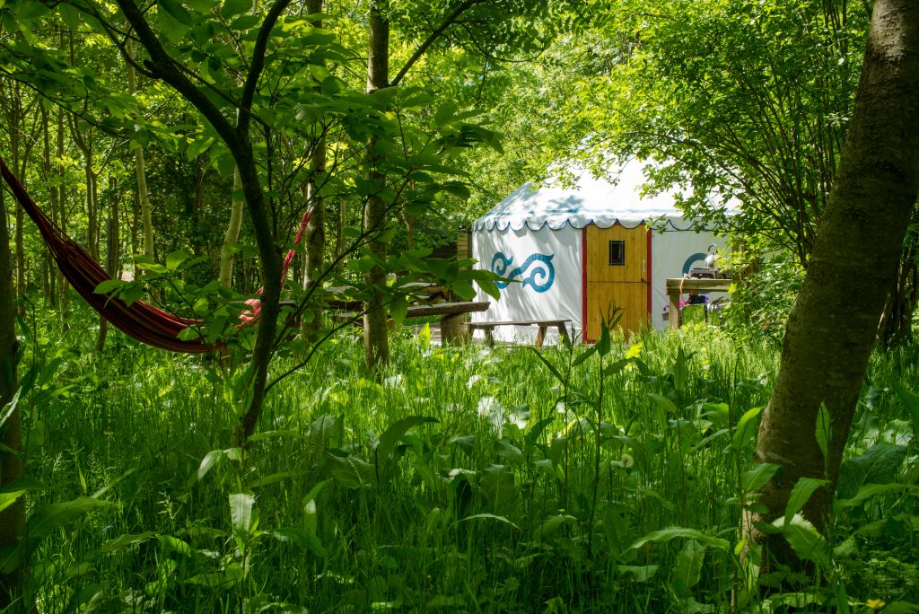 woodland yurt in sussex