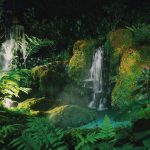 waterfall in a jungle in thailand