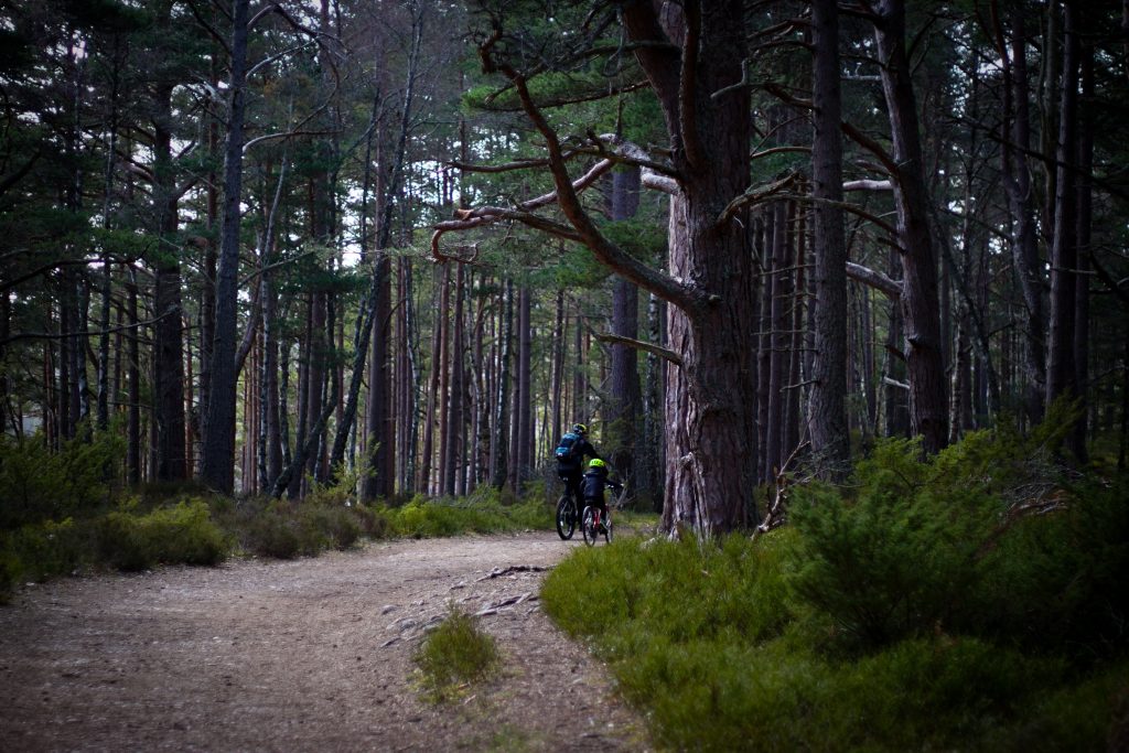 people cycling in the woods in scotland