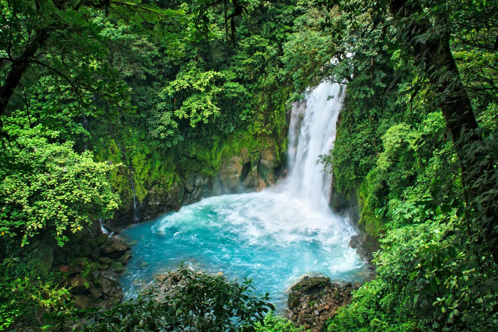 Bucket List Experiences in Costa Rica image