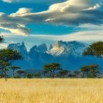 mountains and trees in kenya