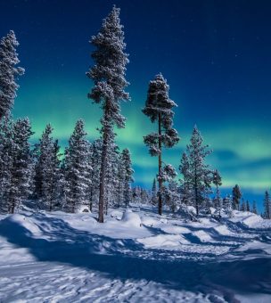 4 Night Family Lapland Winter Adventure in Saariselkä image