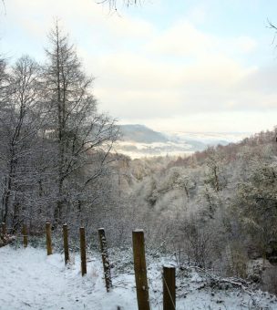 Winter Breaks in the UK image