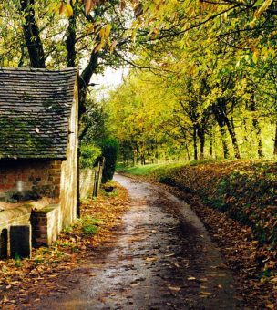 Autumn Breaks in the UK image