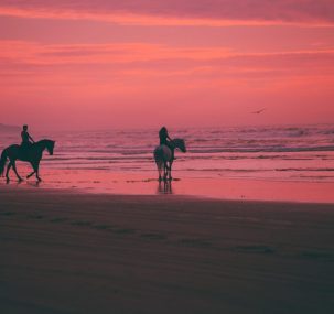Horse Riding Holidays Image