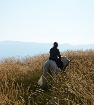 Meet Sarah – our local host in Andalucia image