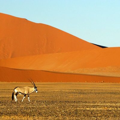 Namibia Image
